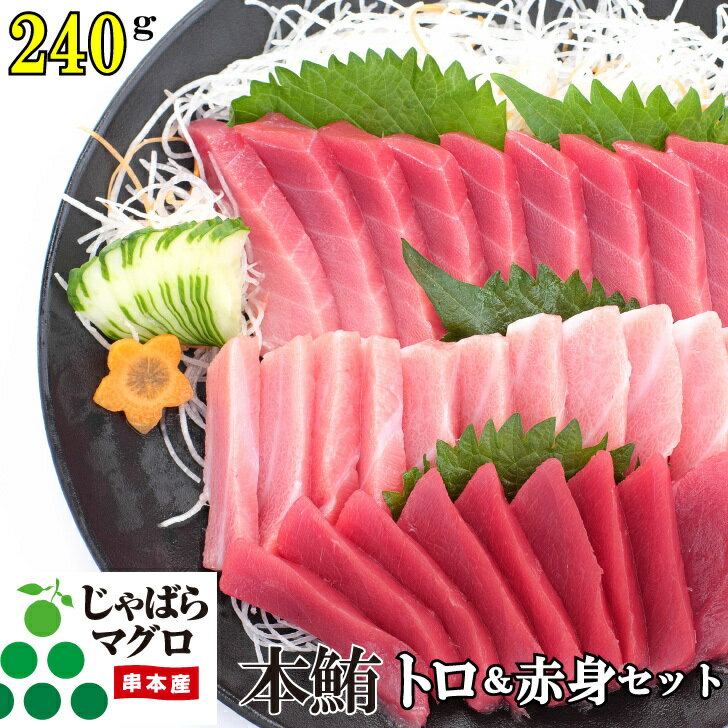 本鮪トロ＆赤身セット 240g じゃばらマグロ 柵 中トロ 赤身 セット 本マグロ まぐろ とろ 刺身 父の日 母の日 贈り物 ギフト 人気