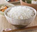 送料無料、大人気のお米です。令和4年産　新潟県産コシヒカリ　10kg