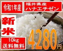 送料無料、粒揃い米処福井の美人米令和1年産　福井県産ハナエチゼン　10kg美人画の米袋で全国直送