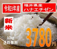 送料無料、粒揃い米処福井の美人米令和3年産　福井県産ハナエチゼン　10kg美人画の米袋で全国直送