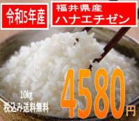 送料無料、粒揃い米処福井の美人米令和5年産　福井県産ハナエチゼン　10kg美人画の米袋で全国直送