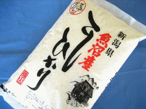 送料無料、大人気のお米です。　令和5年産　新潟県魚沼産コシヒカリ　10kg（5kg×2袋）