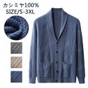 【毛玉ブラシ無料GET!】カシミヤ セーター カーディガン メンズ vネック 抗ピリング加工 メンズセーター ニット トップス カシミヤ100% 男性 学生 紳...