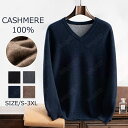 【毛玉ブラシ無料GET】カシミヤ メンズ カシミヤセーター vネック 抗ピリング加工 メンズセーター ニット トップス カシミヤ100% 男性 学生 紳士 ビジ...