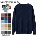 【毛玉ブラシ無料GET!】カシミヤ メンズ カシミヤセーター 丸首セーター 抗ピリング加工 メンズセーター ニット トップス カシミヤ100% 男性 学生 紳士...