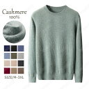 特典あり カシミヤ メンズ カシミヤセーター 丸首セーター 抗ピリング加工 メンズセーター ニット トップス カシミヤ100% 男性 学生 紳士 ビジネス 無地...