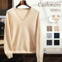 【2/28迄 毛玉ブラシ無料GET!】特典あり カシミヤ セーター メンズ カシミヤ100% ニット セーター vネック メンズニット メンズセーター 厚手 暖かさ 保温 保湿性 柔らかい 軽量 大きいサイズ 冷房対策 無地 厚め 長袖 職場 事務服 通勤 通学 秋冬 大人気 専門店 高品質