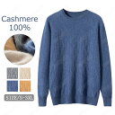 特典あり カシミヤ メンズ カシミヤセーター 丸首セーター 抗ピリング加工 メンズセーター ニット トップス カシミヤ100% 男性 学生 紳士 ビジネス 無地...