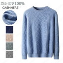 特典あり カシミヤ メンズ カシミヤセーター 丸首セーター 抗ピリング加工 メンズセーター ニット トップス カシミヤ100% 男性 学生 紳士 ビジネス 無地...