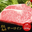 黒毛和牛・サーロイン 600g・最高ランク A5ランク 贅沢 厚切り ステーキ肉 和牛 高級肉 A5 焼肉 ギフト お取り寄せグルメ 牛肉 高級 肉 お歳暮 内祝 贈り物 プレゼント お祝い 誕生日 母の日 父の日 御中元 キャンプ飯