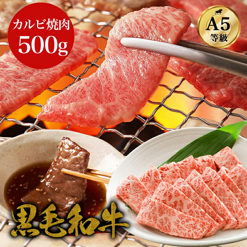 【黒毛和牛 カルビ焼肉 500g】A5ラン