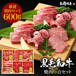 【特上焼肉6種盛合わせ】黒毛和牛 A4.A5ランク・焼肉 6種セット 600g ・ プレゼント ギフト サーロイン カルビ バラ カイノミ かぶり 高級肉 お肉 お取り寄せ 焼肉セット BBQ 贈り物 母の日 父の日 お中元 御中元 お祝い 内祝い 誕生日 キャンプ飯