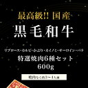 【母の日 ギフト】【特上焼肉6種盛合わせ】黒毛和牛 A4.A5ランク・焼肉 6種セット 600g ・ プレゼント ギフト 高級肉 お肉 お取り寄せ 焼肉セット BBQ 贈り物 母の日 父の日 お中元 御中元 お祝い 内祝い 誕生日 キャンプ飯 3