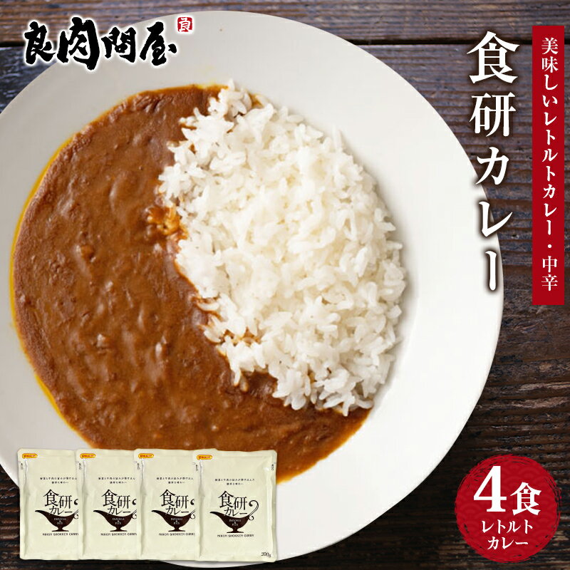 送料無料 食研カレー 4食(200g×4) 日本食研 中辛 レトルトカレー ポイント消化 食品 お試し 業務用 おつまみ ご当地グルメ 人気 お取り寄せ 非常食 保存食 防災食 長期保存