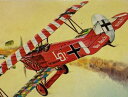 　複葉機　FOKKER D-VII　1/72　世界の複葉機シリーズ　1ジオラマ模型　プラモデル　コレクションケース付き