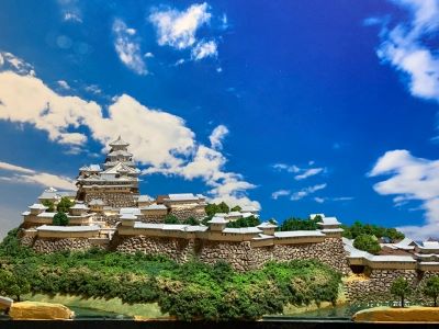 [������] ����������륱�����դ�����ɱϩ�롡A3������������������(500��500��250mm) �����仺����������¸ŷ�顡(ʼ�˸�ɱϩ����Į������100̾�롡���ܤξ롡���� ������� �Ϸ����ץ��ǥ롡����Ϸ�