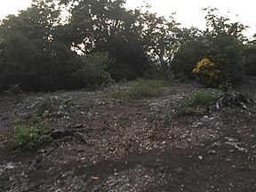 [完成品] 　伊波城（うるま市石川伊波）日本の城　お城のジオラマ模型　プラモデル　城郭模型