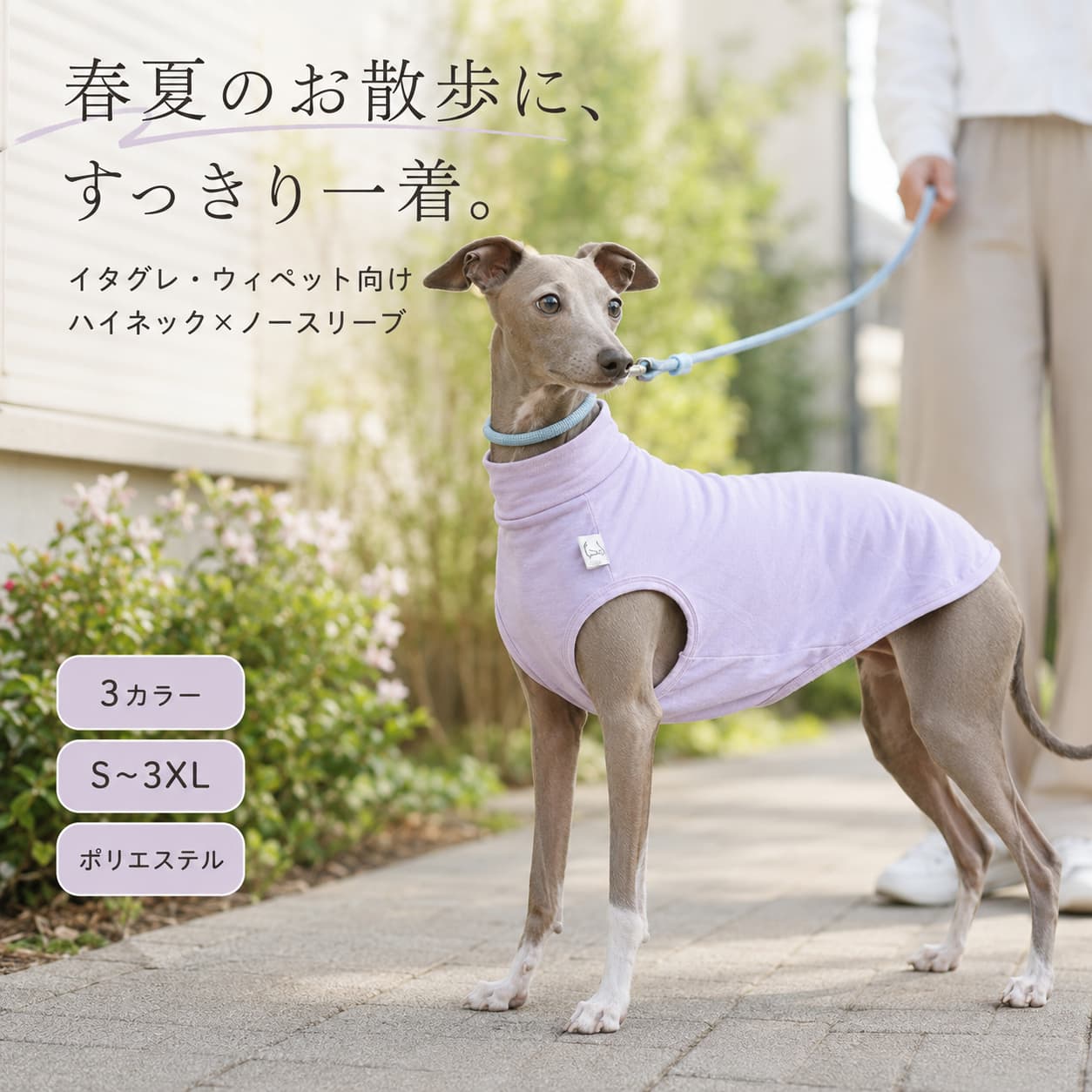 楽天市場】ウィペット 服の通販