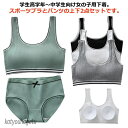【送料無料】大人 カップ付き パッド付き ショーツ ジュニア下着セット 上下セット キッズ ガールズ ジュニアブラ レディース リブ パンツ