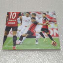 【中古・未使用品】名古屋グランパス ヴィクトリーアートパネル セレッソ大阪 1-0 #16 マテウス