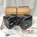 【中古・未使用品】スーパーナット UPS用バッテリーキット RBC11J-S (RBC11J互換) Smart-UPS2200/Smart-UPS3000対応