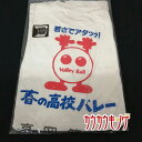 【中古・未使用品】富山 高岡第一高校 バレーボール部 Tシャツ 支給品 LL 春高バレー