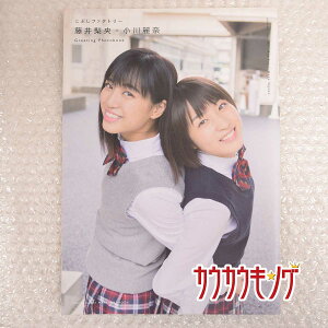 【中古】藤井梨央・小川麗奈(こぶしファクトリー)ミニ写真集 Greeting-Photobook ハロープロジェクト