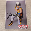【中古】 やまびこ 直筆サイン ポートレート はやて / みちのくプロレス /いたばしプロレスリング