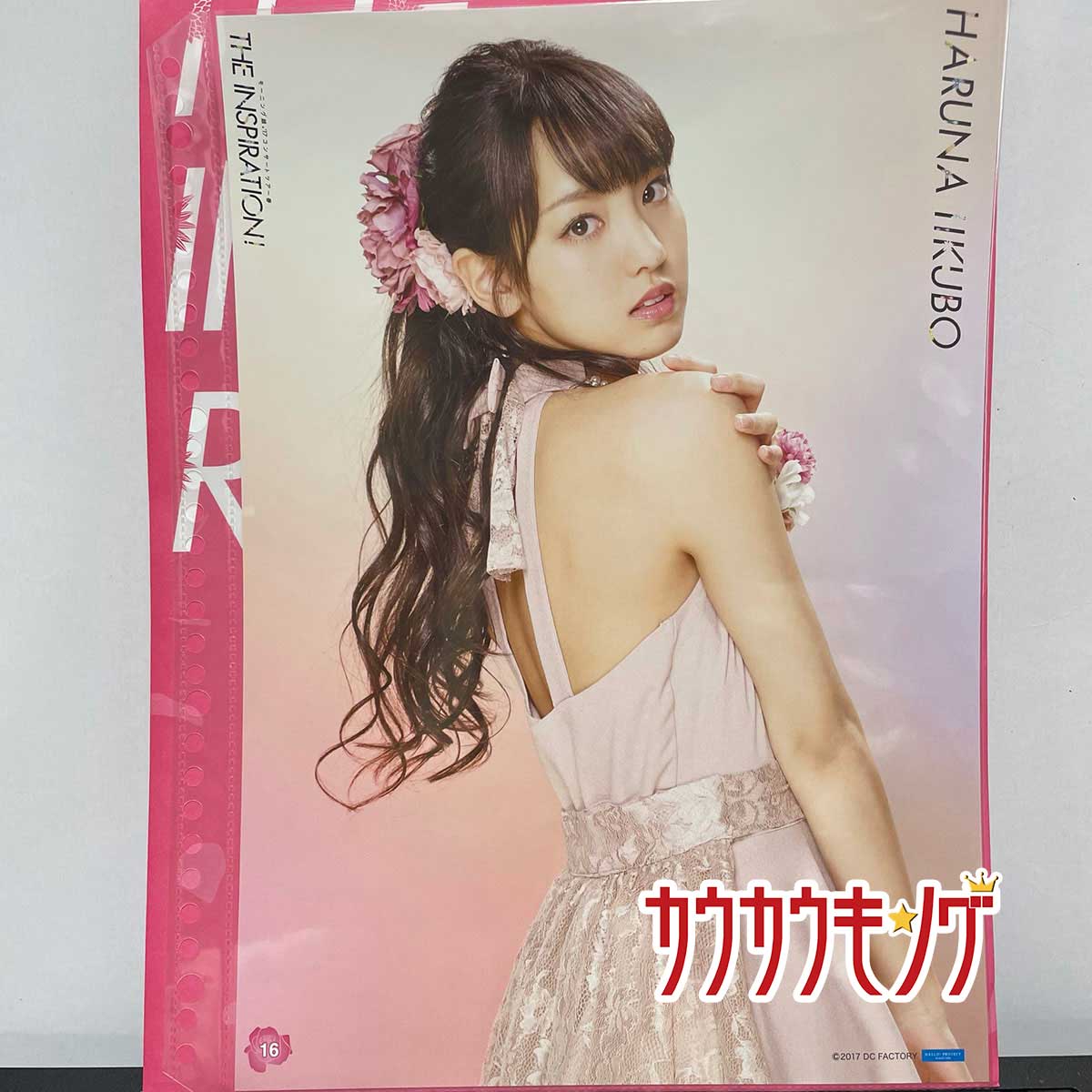 šۡӷպڡ16 ԥʥåץݥ ⡼˥̼'17󥵡ȥĥ THE INSPIRATION ԥݥ ϥץ