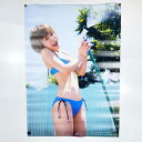 【中古】ポスター 高橋愛 ハロプロ モーニング娘。 B2