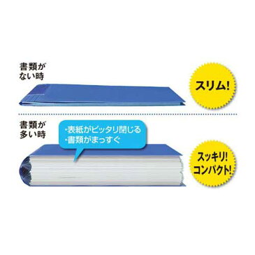 コクヨ ノビータ　ベーシックカラー　A4縦40枚P緑