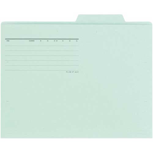 プラス 個別フォルダーエコノミー ブルー 10枚