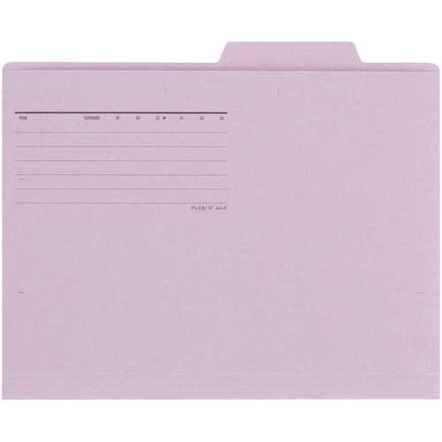 プラス 個別フォルダーエコノミー バイオレット 10枚
