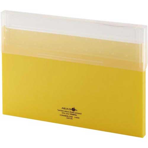 リヒトラブ コングレスケース薄型 黄