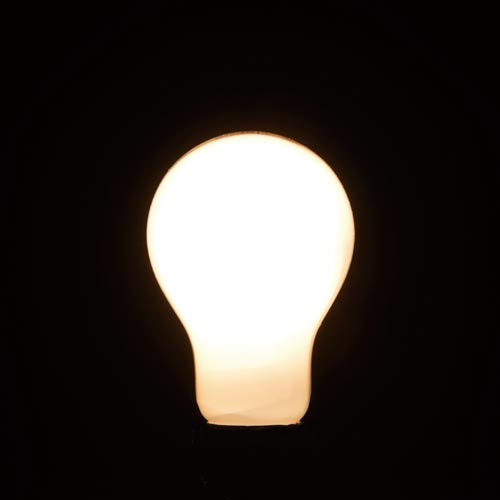 �䥶�� ��Ǯ�ŵ塡Ĺ��̿���ꥫ��E26��100W��
