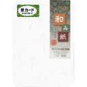 長門屋商店 和み紙単カード ナー745