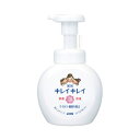 ライオン キレイキレイ薬用泡ハンドソープ 本体 250ml