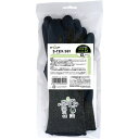 ショーワグローブ S−TEX581 XL 1双【耐切創手袋レベル5】