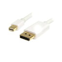 スターテック ミニDP - DP 1.2 変換ケーブル 1m【取寄商品】