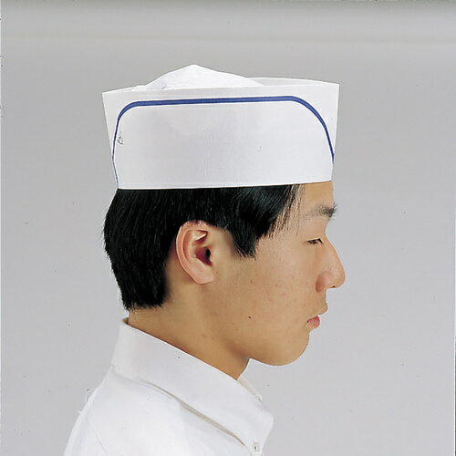 ダック パルメッシュハット紙帽子M 100枚入【取寄商品】