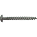 JPF ステンレスアリンコトラスM5X40【取寄商品】