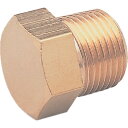 アソー 六角プラグPT3/8【取寄商品】