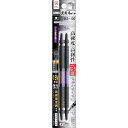 兼古製作所 黒龍靭ビットスリムタイプ2本組 両頭 +2×130【取寄商品】