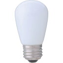 朝日電器 LED電球サイン球E26 LDS1NGG900【取寄商品】