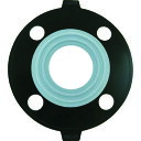 セキスイ PTFE(テフロン)パッキン50AJIS10K【取寄商品】