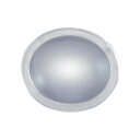 ヤマトカガク プラスチック凸レンズ D−43(f100mm)【取寄商品】
