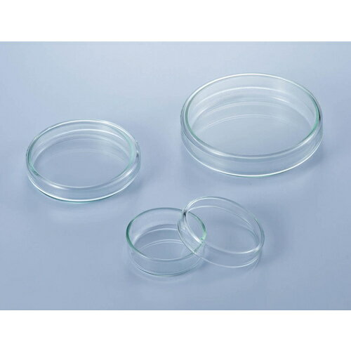 ケニス ケニス シャーレ(ペトリ皿) NOR−120【取寄商品】