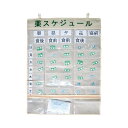 エヌ・ティ・シー 薬スケジュール【取寄商品】