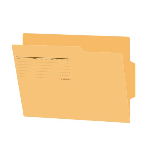プラス ラテラルファイリング用個別フォルダーA4 黄×10【取寄商品】