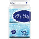 日本製紙クレシア クリネックス アクアヴェール ポケット4P×48【取寄商品】